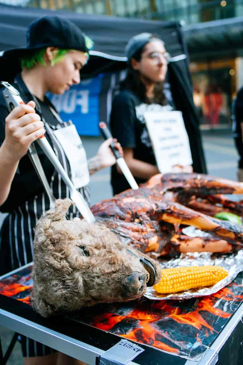 Hund wird in NRW-Innenstadt gegrillt – Passanten dreht sich der Magen um