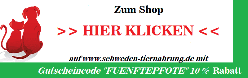 Futter für kastrierte Hunde: Die besten Produkte im Test 2023