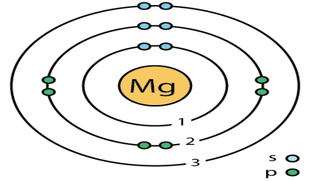 What is the Difference Between Magnesium Atom and Magnesium Ion