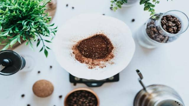 Filterkaffee kochen – 5 Tipps für die perfekte Zubereitung