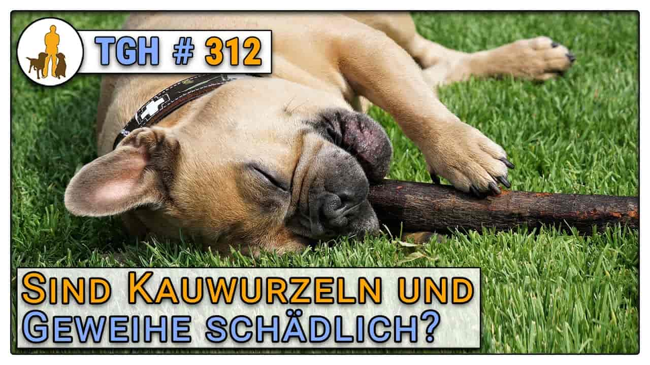 Kauholz für Hunde