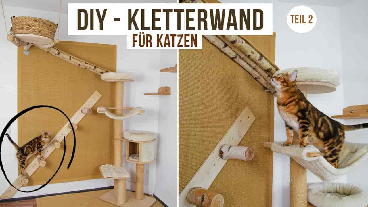 DIY: So baust du eine Kletterwand für deine Katze