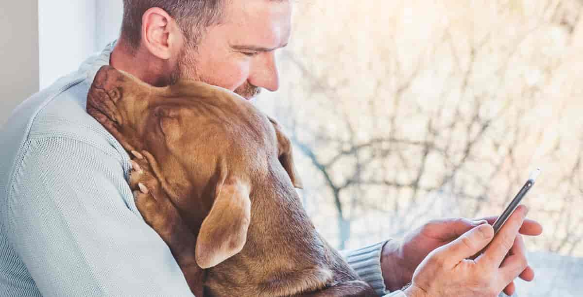 Depressionen beim Hund