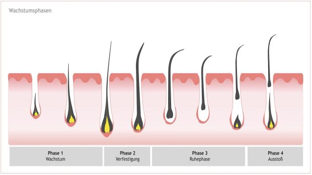 Long4Lashes Wimpernserum Test & Vergleich 2023: Welche Erfolge bringt das Serum?