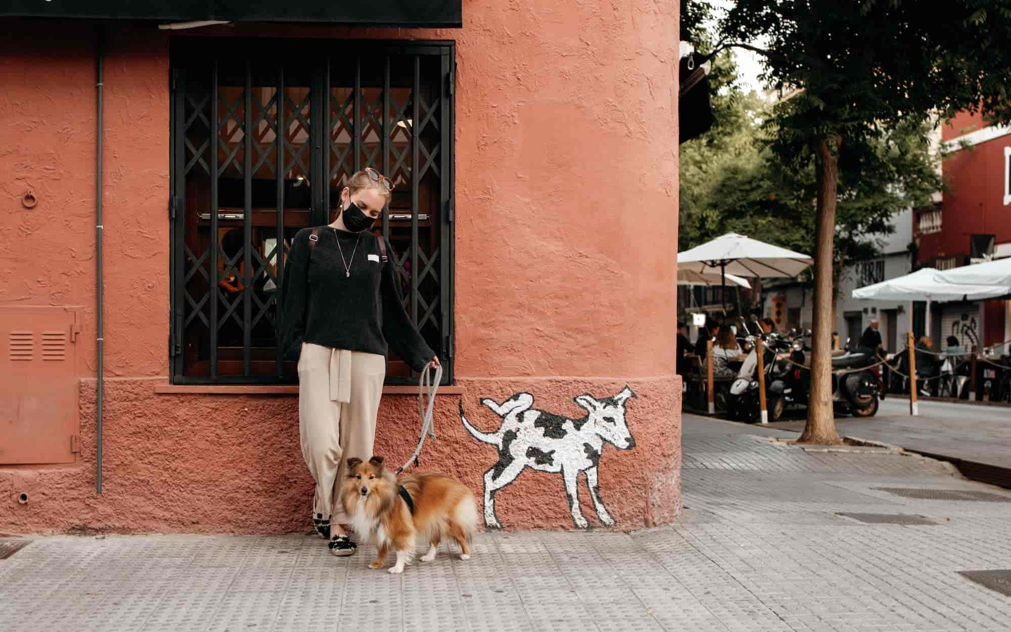 Mallorca mit Hund – 8 Tipps für die Baleareninsel mit Fellnasen