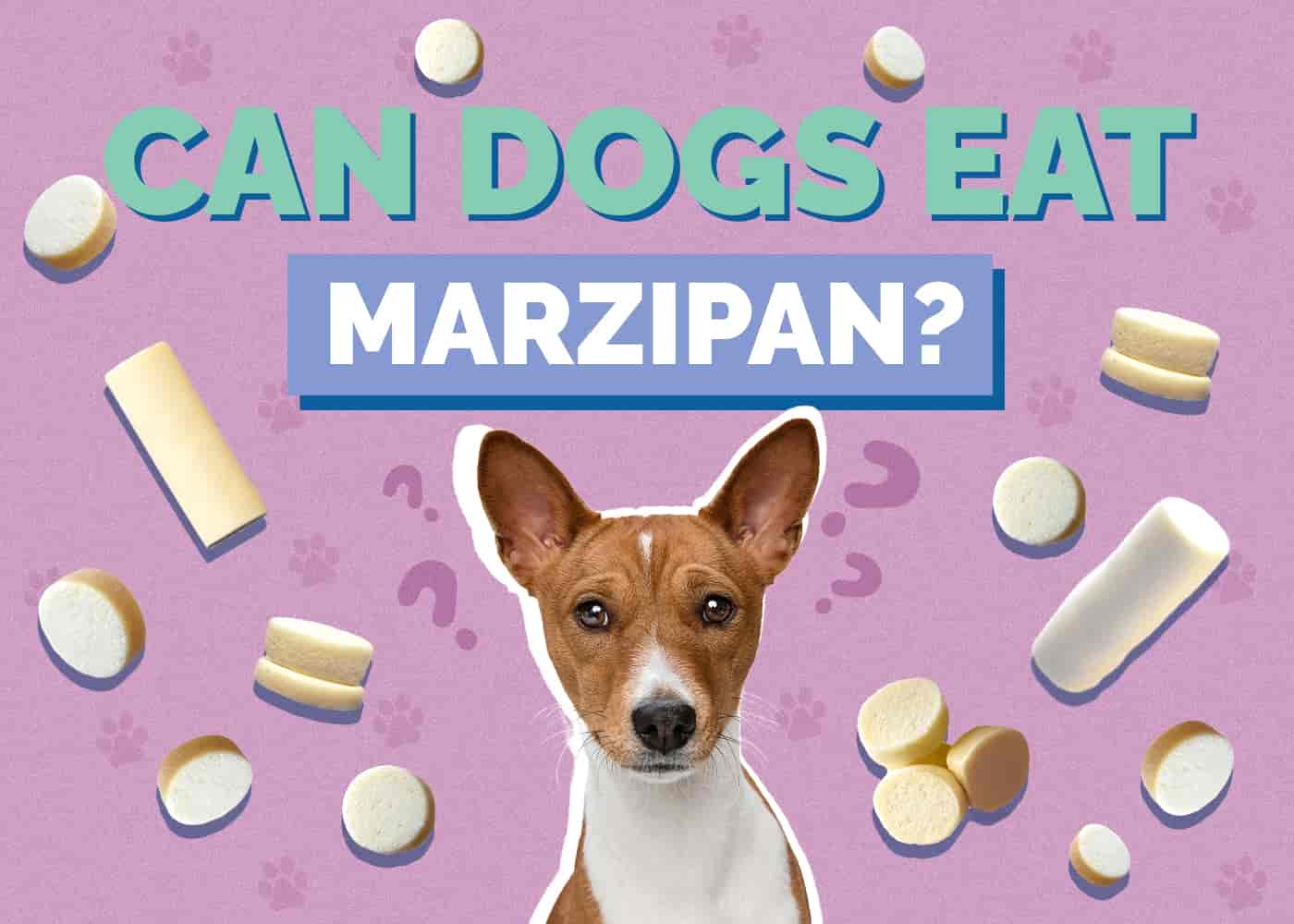 Can Dogs Eat Marzipan? Vet-Approved Risks & FAQ