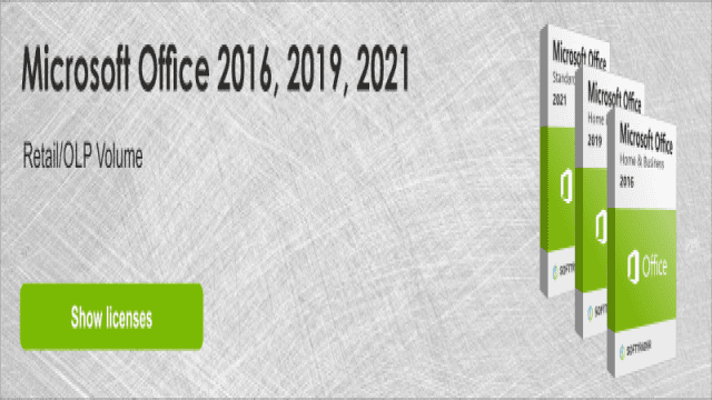 Microsoft Office 2021 Standard vs. Professional Plus