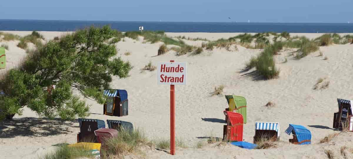 Urlaub auf Borkum mit Hund genießen