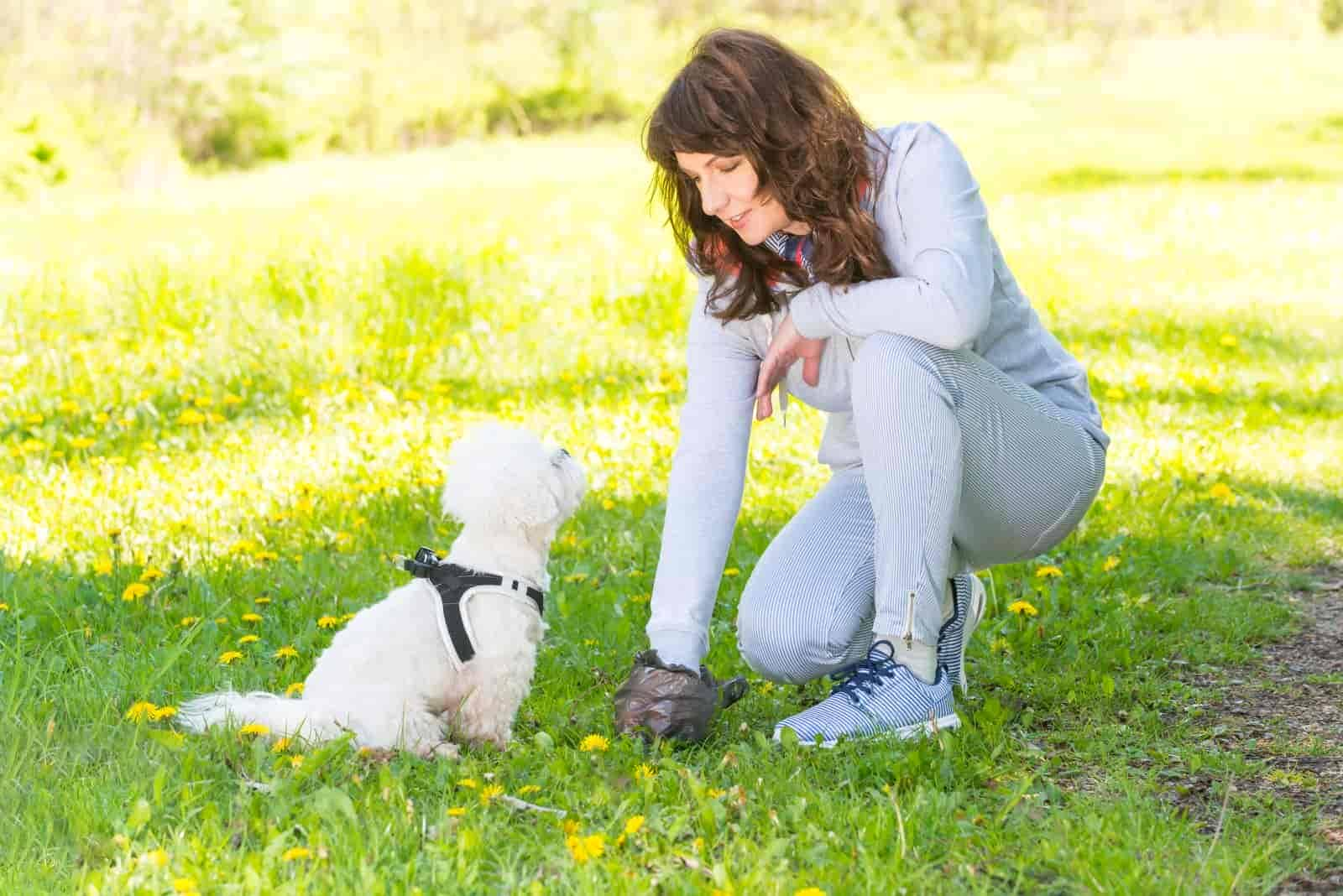 Urlaub mit Hund – Mit dem Hund auf Norderney