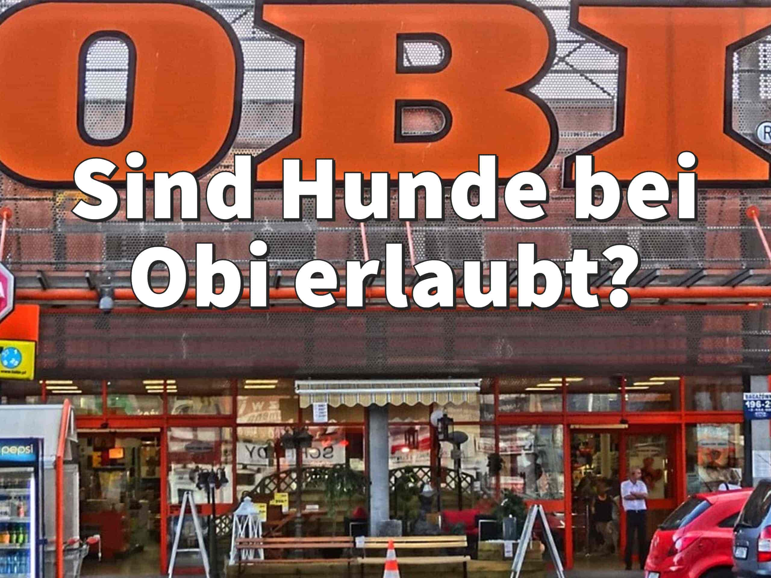 Sind Hunde bei Obi erlaubt?