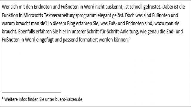 Richtig zitieren: End- und Fußnoten in Word einfügen & formatieren