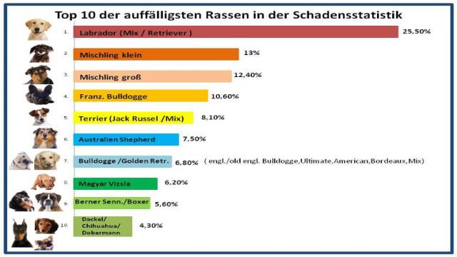 Hunde-Op Versicherung