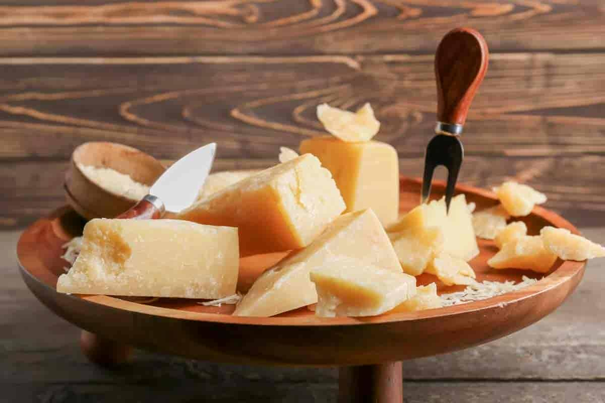 Can Dogs Eat Parmesan Cheese? What You Need To Know