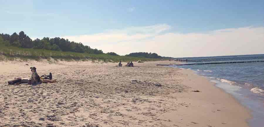 Prerow Ferienhaus-Urlaub mit Hund - Hundestrand-Tipps