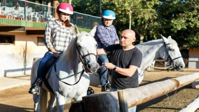 Reitlehrerversicherung Vergleich