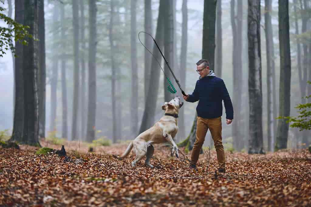 Reizangel für Hunde - Jagdtrieb, Impulskontrolle, Bindung