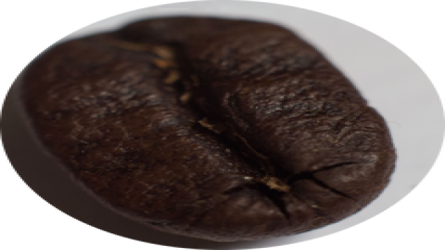 10 differences Between Robusta & Arabica Coffee