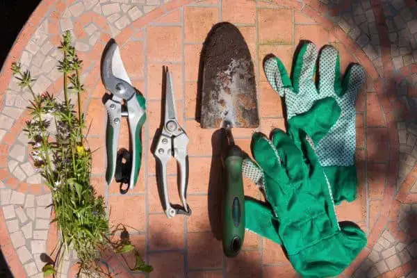 Gartenwerkzeug: Tipps zum Kauf von Rosen- und Gartenscheren