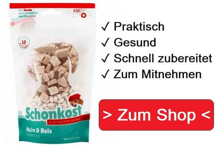 Schonkost Hund: Die 5 leckersten Rezepte und Liste bester Lebensmittel