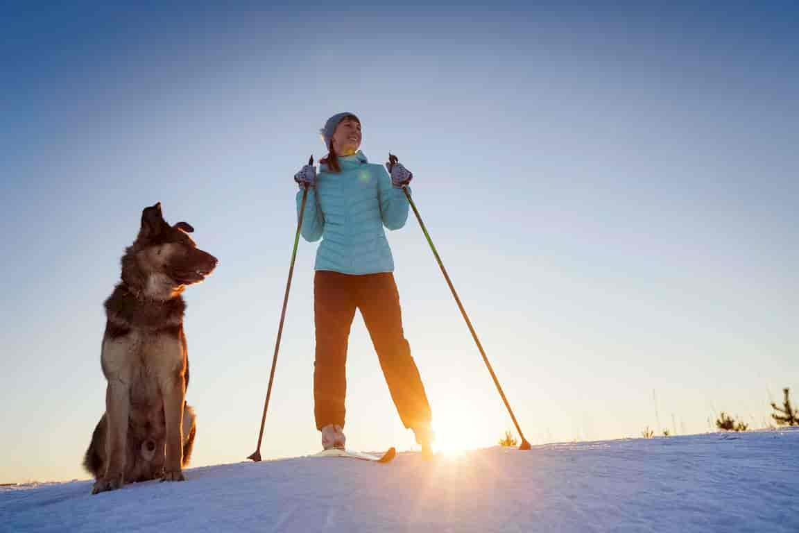 Skiurlaub mit Hund – so gelingt´s!