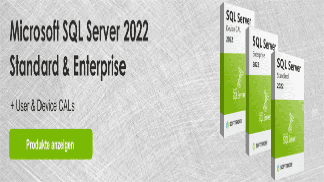 Microsoft SQL Server Standard vs. Enterprise: Die Hauptunterschiede