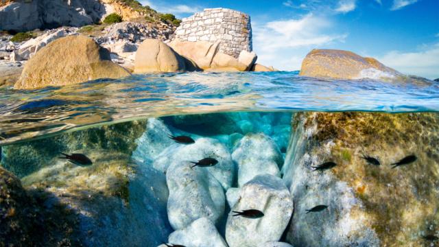 Tauchen auf Sardinien – die bezaubernde Unterwasserwelt Sardiniens