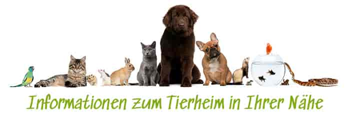 Tierheim in Ummendorf (Kreis Biberach an der Riß) und Umgebung