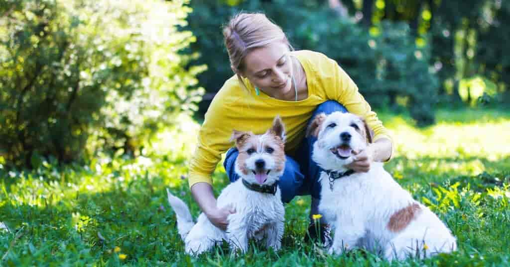 Dein Hund trauert? Hier einige Tipps!