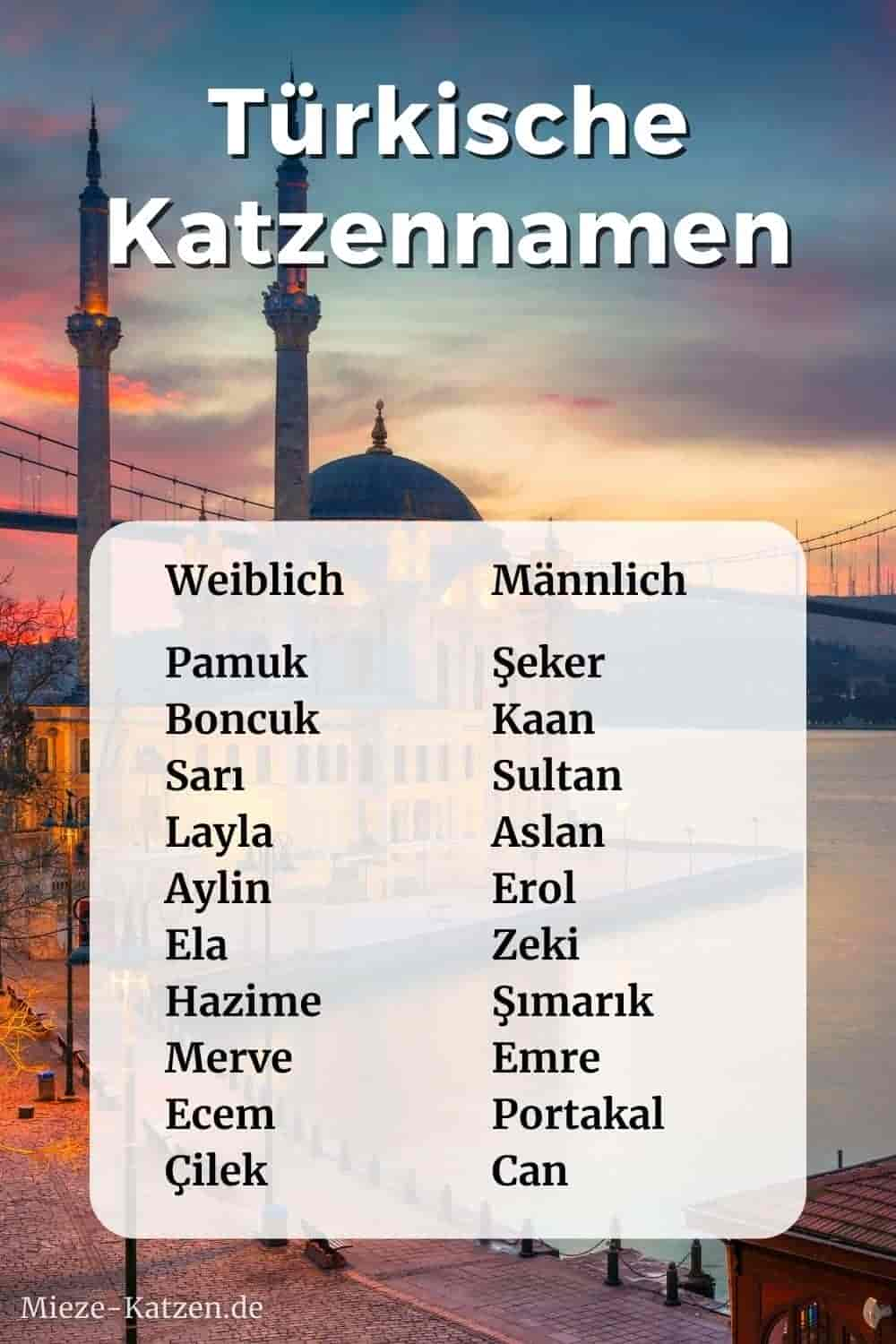 Türkische Katzennamen