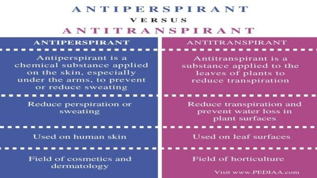 What is the Difference Between Antiperspirant and Antitranspirant