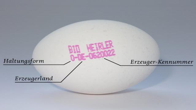 Bio-Eier, Freilandeier, Eier aus Bodenhaltung – welche Eier soll ich kaufen?