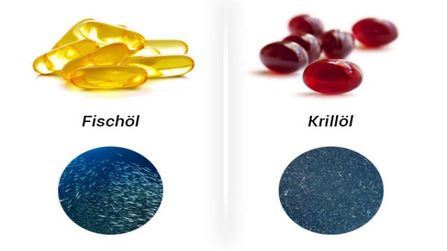 Krillöl oder Fischöl: Was ist die beste Quelle für Omega-3?