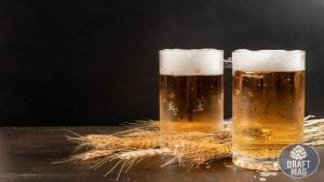 Helles vs Pilsner: Comparing the Two Golden Beers