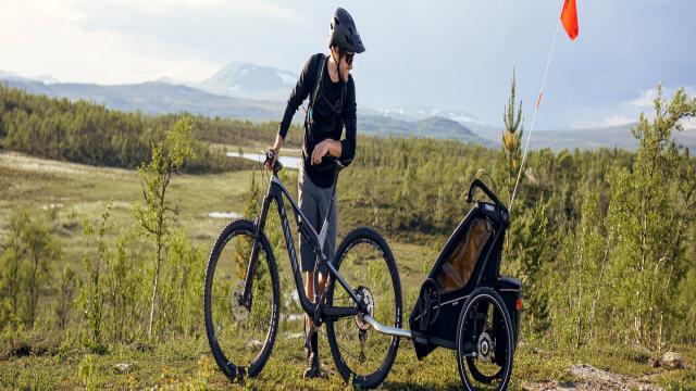 Thule Chariot Buying Guide