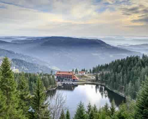 Wandern mit Hund im Schwarzwald: See-Touren für heiße Sommertage