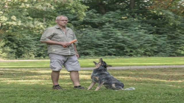 HILFE! - Mein Hund ist ein Kläffer! - Martin Rütter DOGS Walldorf/Bruchsal