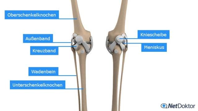 Knieschmerzen