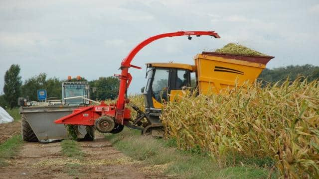 Vor- und Nachteile von Biogas – alles, was Du wissen musst