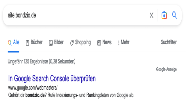 Google findet meine Seite nicht!