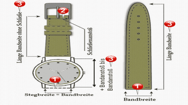 Uhrenarmband und Federstege passend ausmessen: