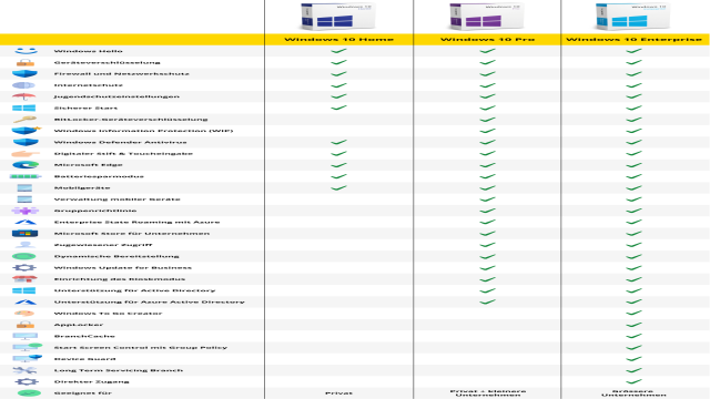 Windows 10 Home oder Pro – Was brauchst du?