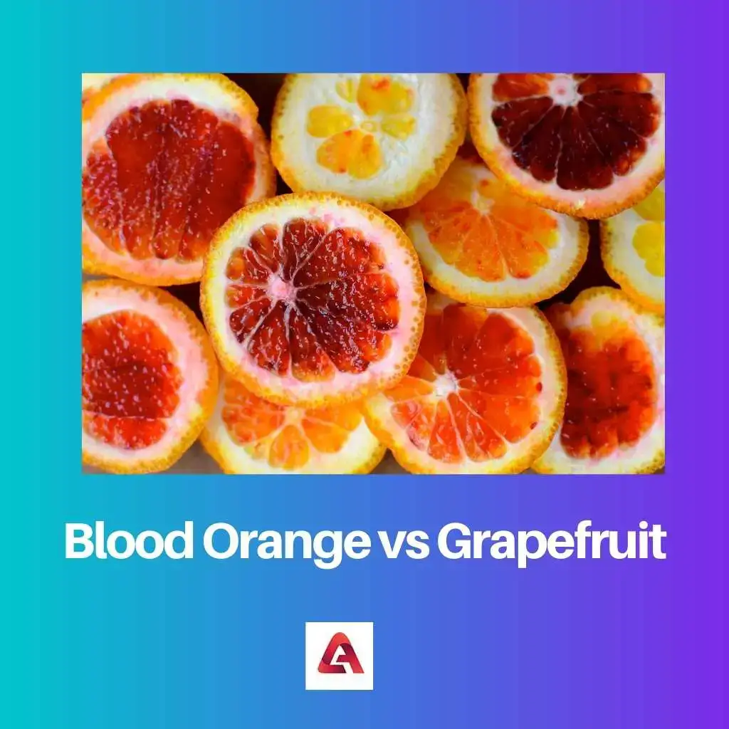 Blutorange vs. Grapefruit: Unterschied und Vergleich