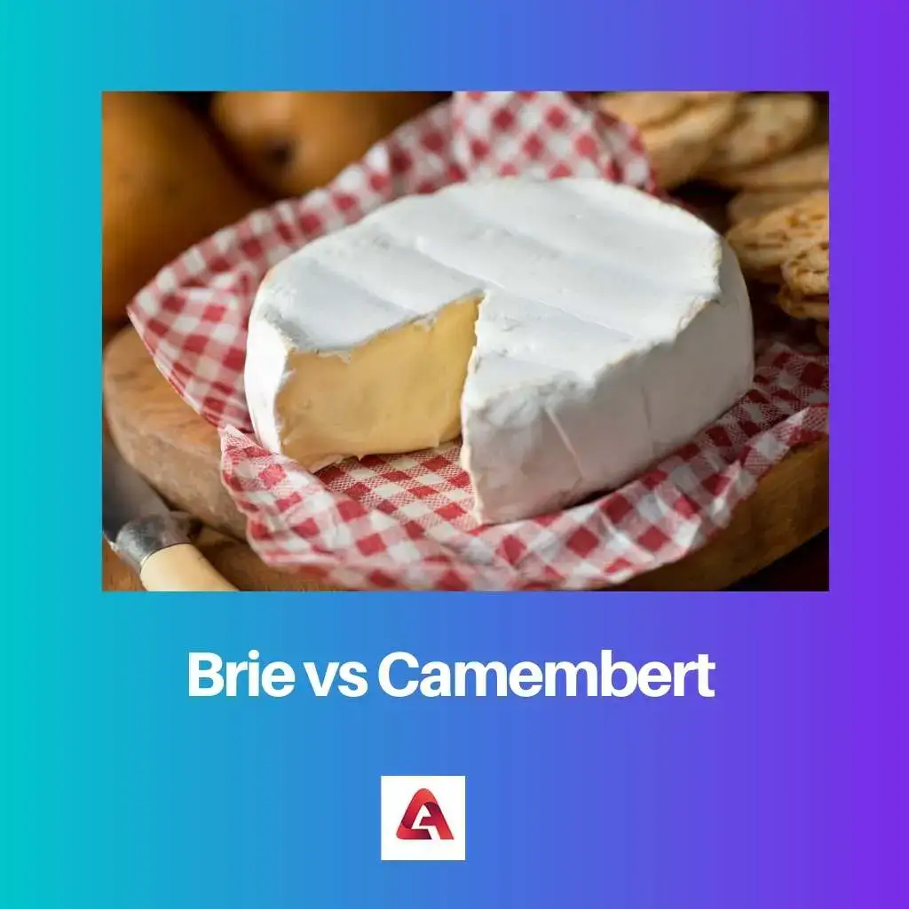 Brie vs. Camembert: Unterschied und Vergleich