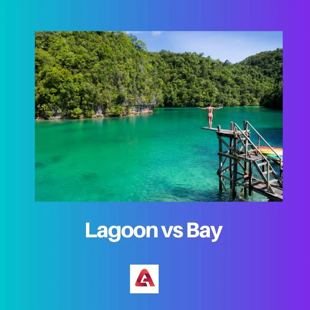 Lagoon vs Bay: Unterschied und Vergleich