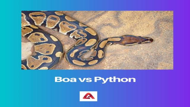 Boa vs. Python: Unterschied und Vergleich