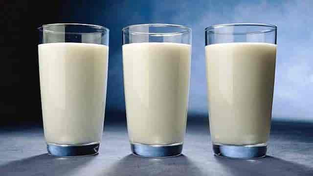 Unterschiede zwischen Kuhmilch, Ziegenmilch und Schafsmilch