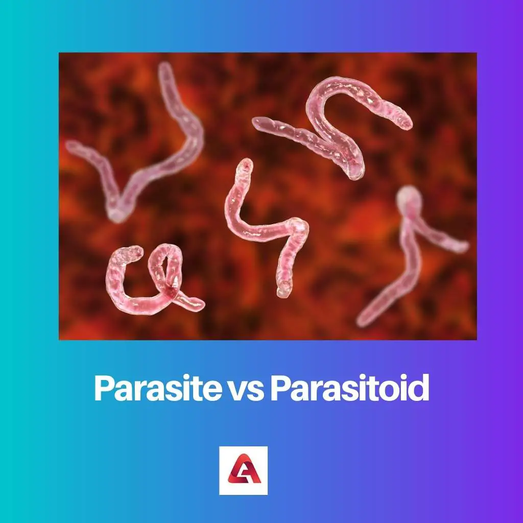 Parasit vs. Parasitoid: Unterschied und Vergleich