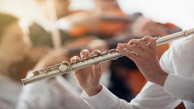 Unterschiedliche Orchester-Arten im Überblick