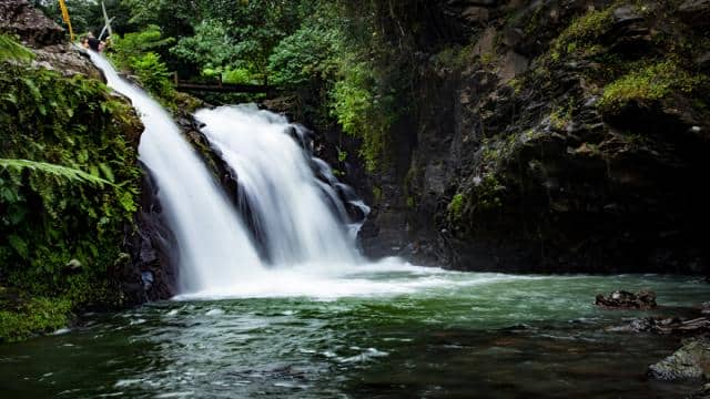 Unterschiede zwischen Regenwald und tropischen Regenwald