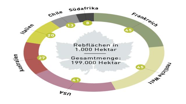 Diese weißen Weinsorten sollten Sie kennen